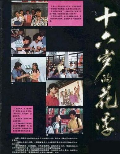 花季在线观看免费播放大全电视剧
