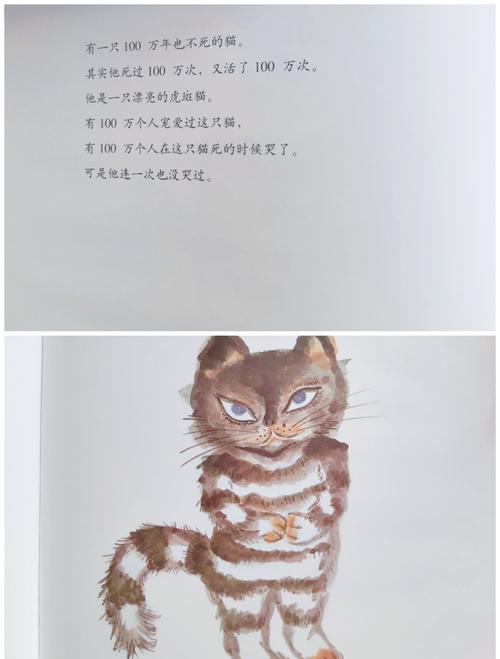 有个阅读软件叫什么猫