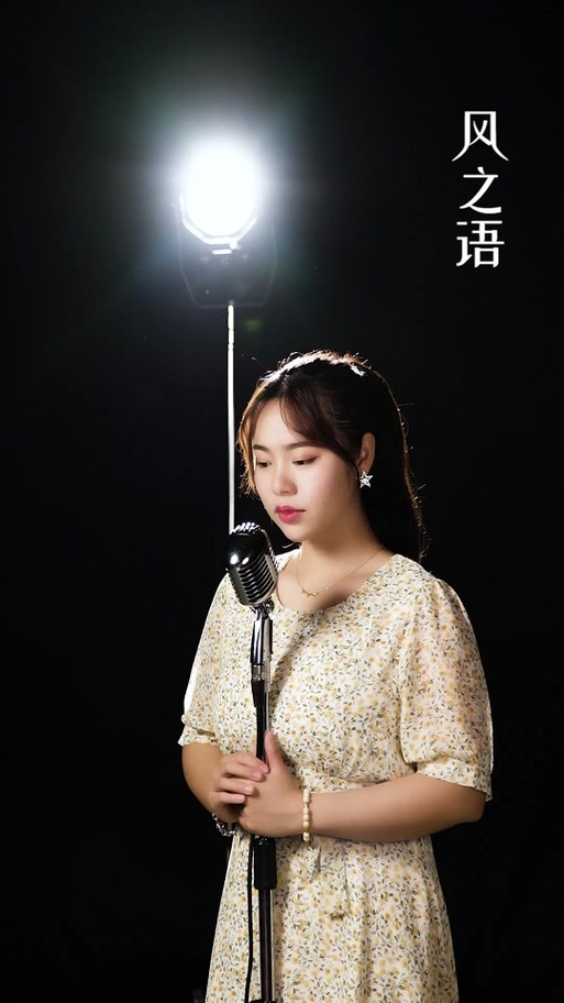 风元素代表什么截图