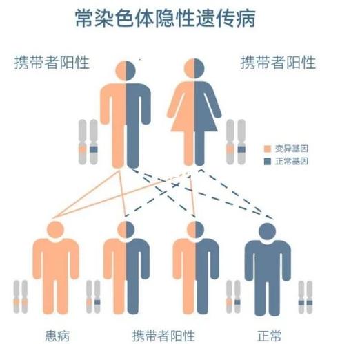 支付宝隐藏性别图标