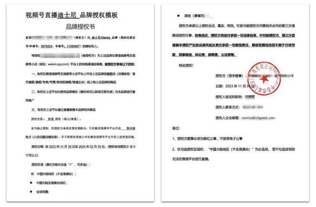 正版授权是什么意思缩略图