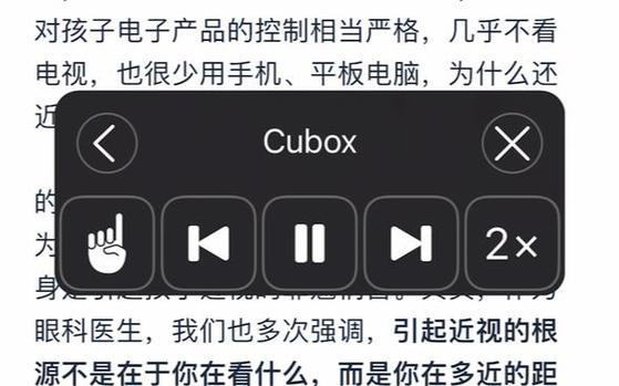 ios屏幕朗读器死机截图