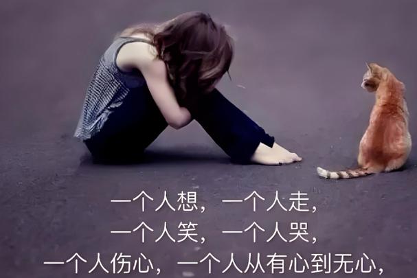 vivo更新后相册照片没了图标