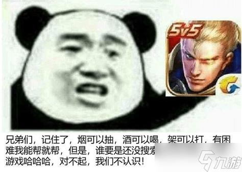 王者动作表情怎么使用截图
