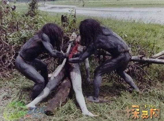 911食人族2图标