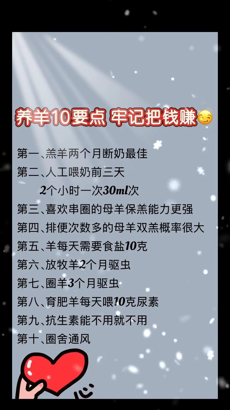 小绵羊养成手册