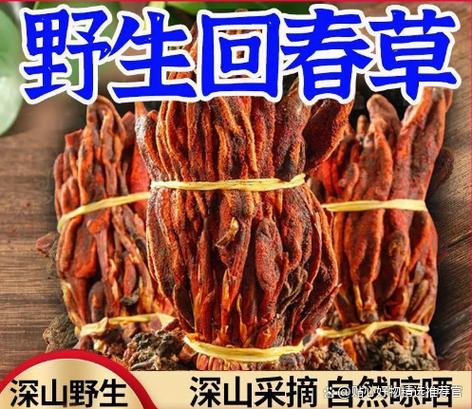 qq收藏里的东西删除了还能恢复吗游戏截图