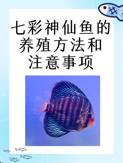 如何制作鱼饵图标