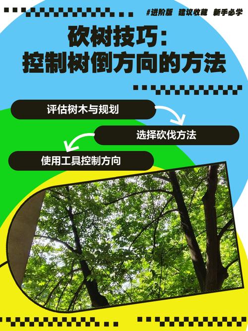 砍树的注意事项
