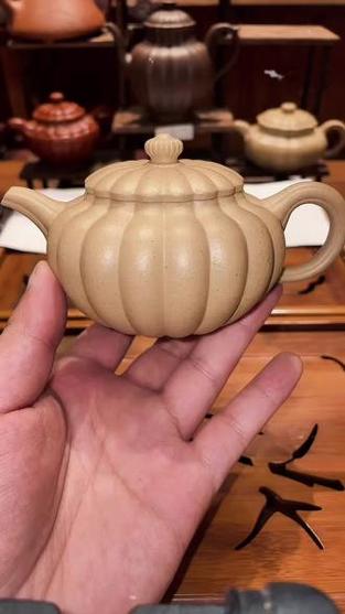 十八瓣菊截图