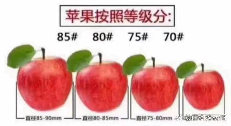 苹果型号号码对照表缩略图