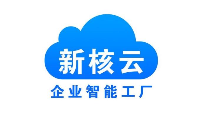 新核云C2截图