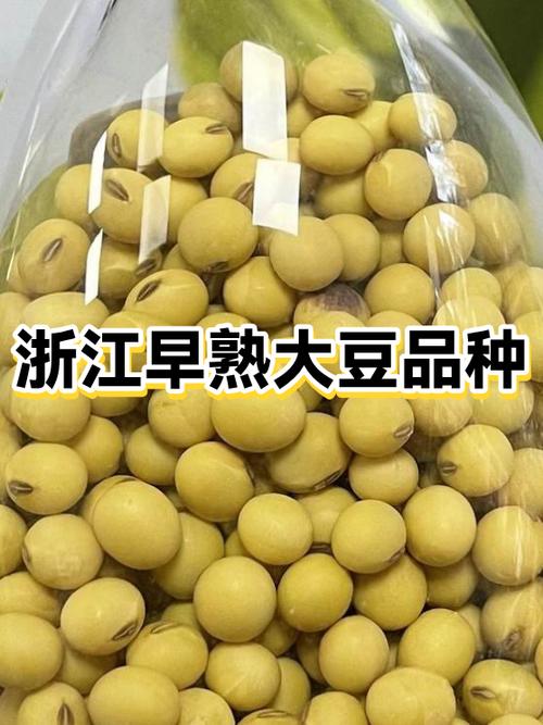 豆粒养猪靠谱吗