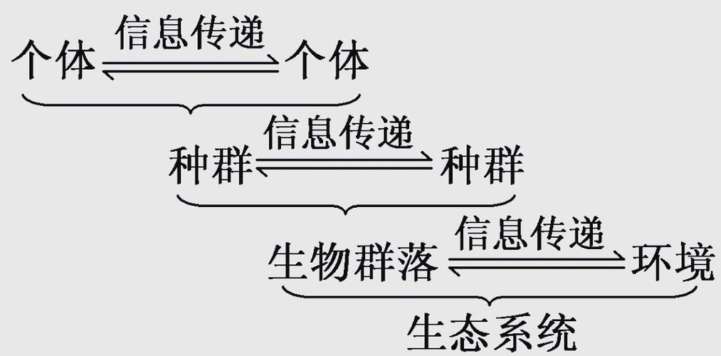 生态系统的信息传递的功能缩略图