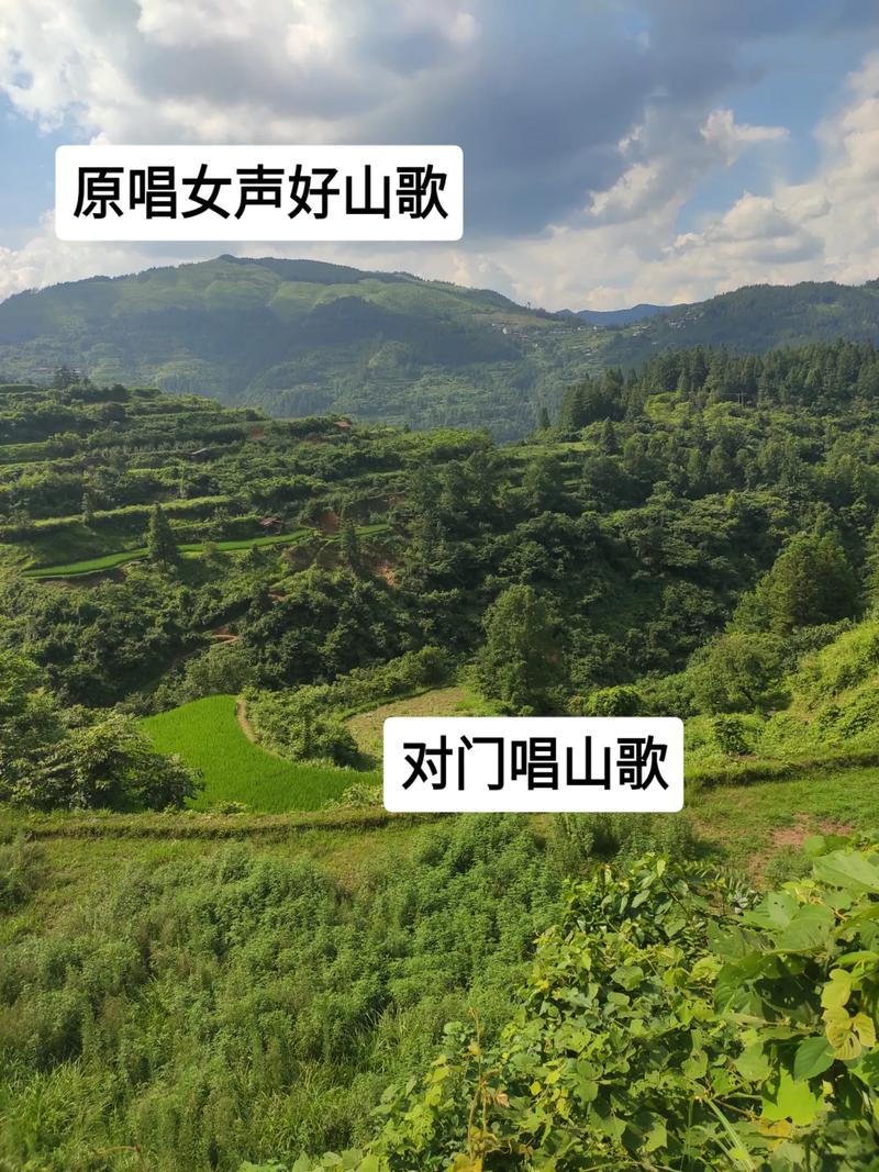 马山伙唱的歌曲截图