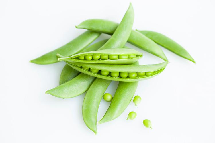 豆瓣豌豆荚图标
