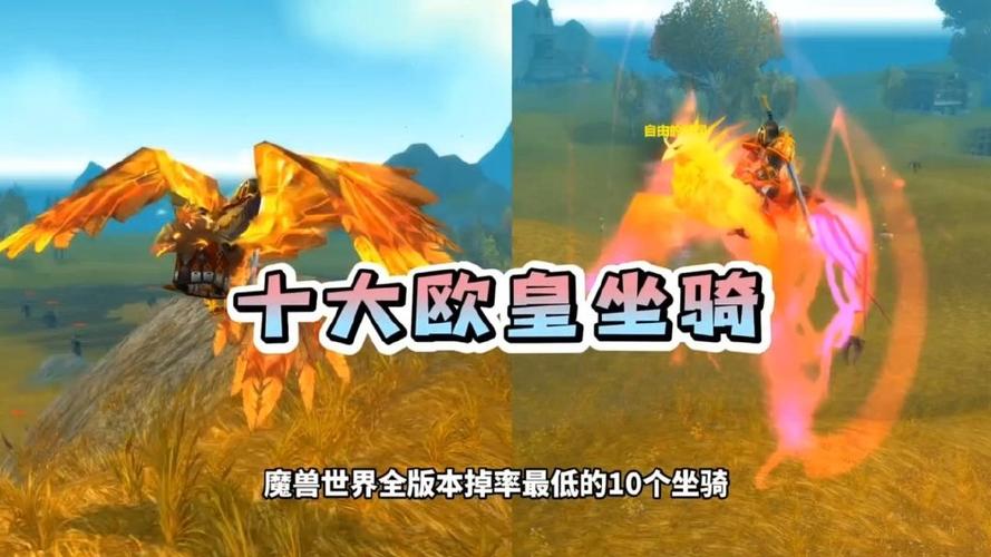魔兽世界掉率最低的坐骑图标