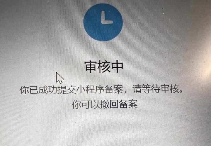 待审核是什么状态截图