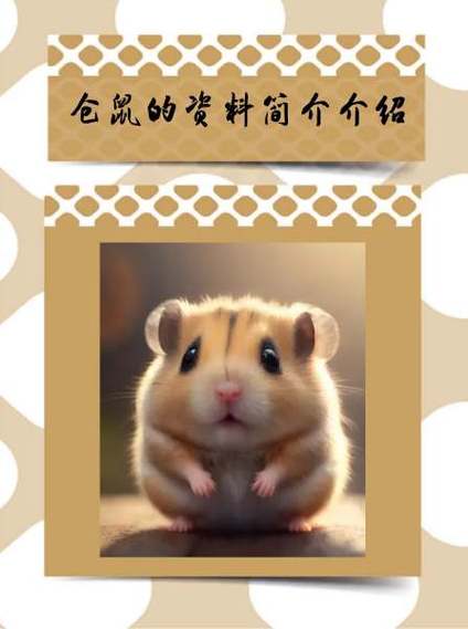 仓鼠能自己生存吗缩略图