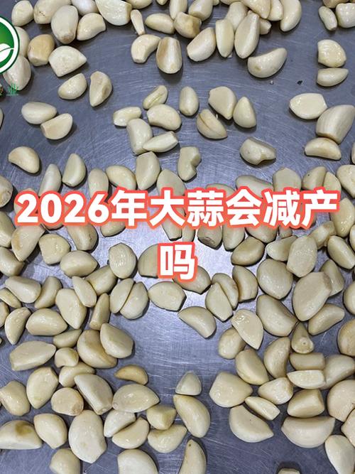 大蒜论坛2026年最新消息图标