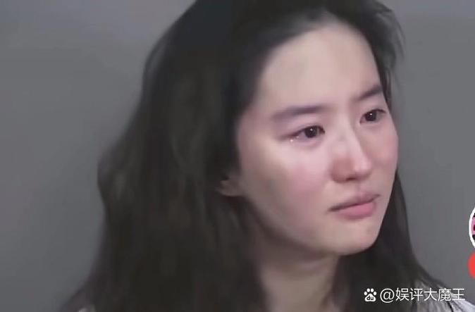 带泪梨花冷雨扮演者缩略图