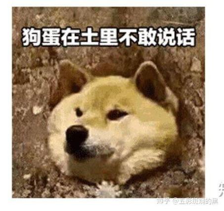 狗蛋在土里不敢说话是什么意思截图