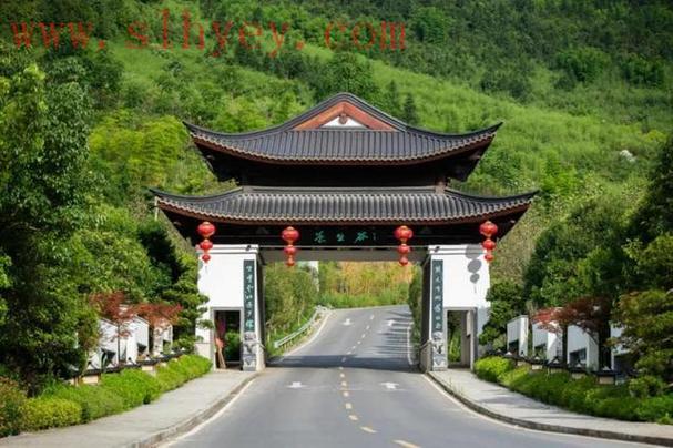 清茗学院在线阅读