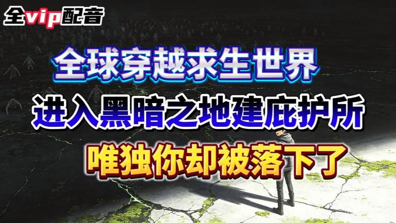 在国外怎么用国内的网络图标