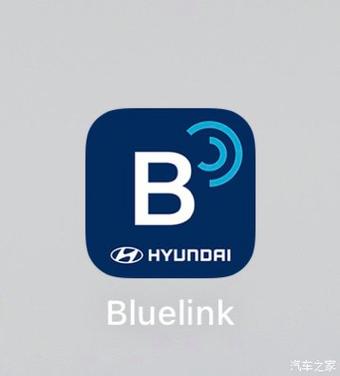 bluelink vin截图