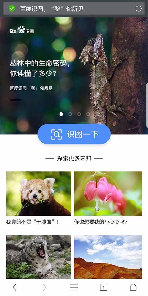 百度识图网页版在线截图