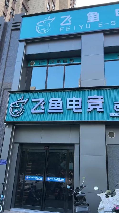 飞鱼电竞官方最新下载
