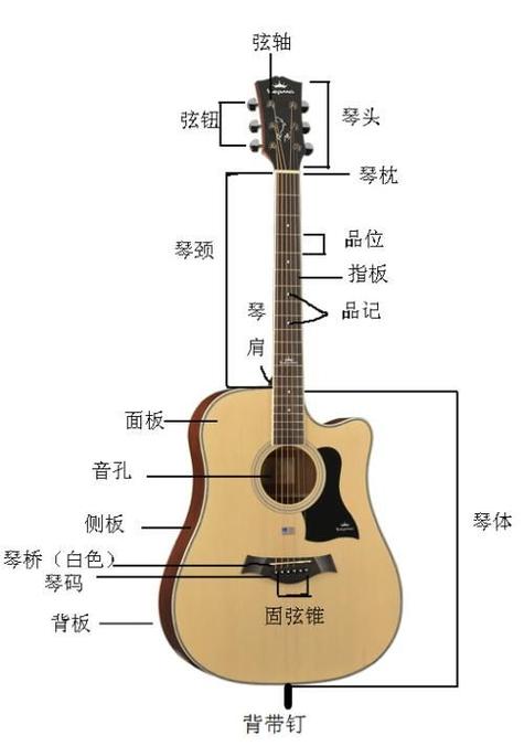 新手吉他教学入门零基础游戏截图