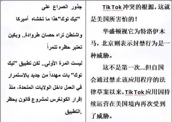 阿拉伯语语音翻译软件游戏截图
