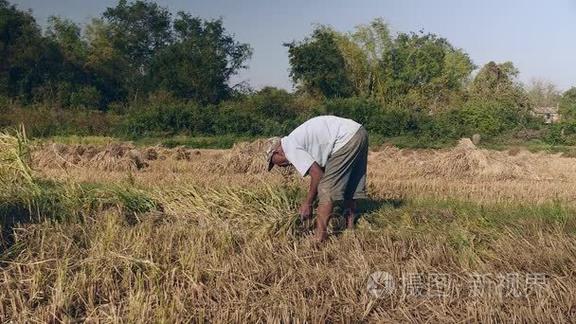 农夫视频破解图标