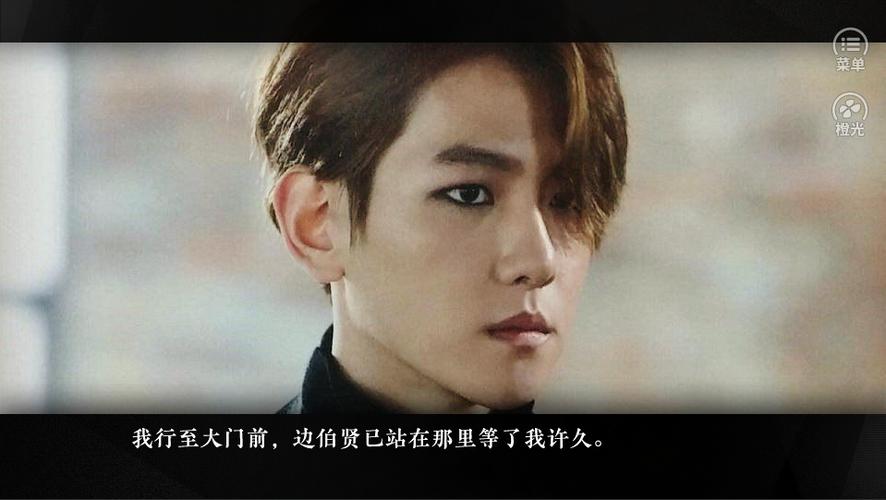 exo橙光游戏野心家破解版