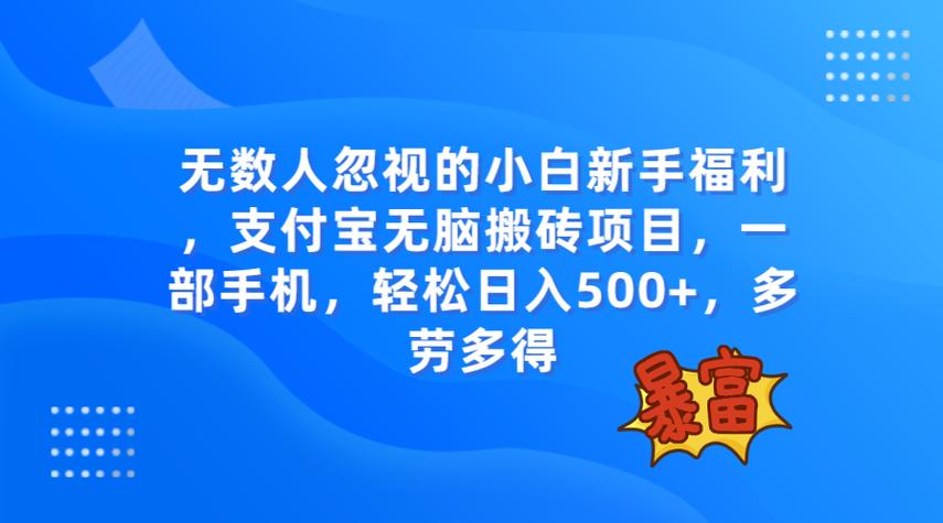 搬砖项目资源网缩略图