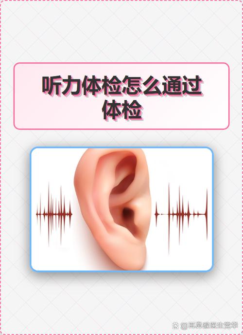 免费调音器软件缩略图