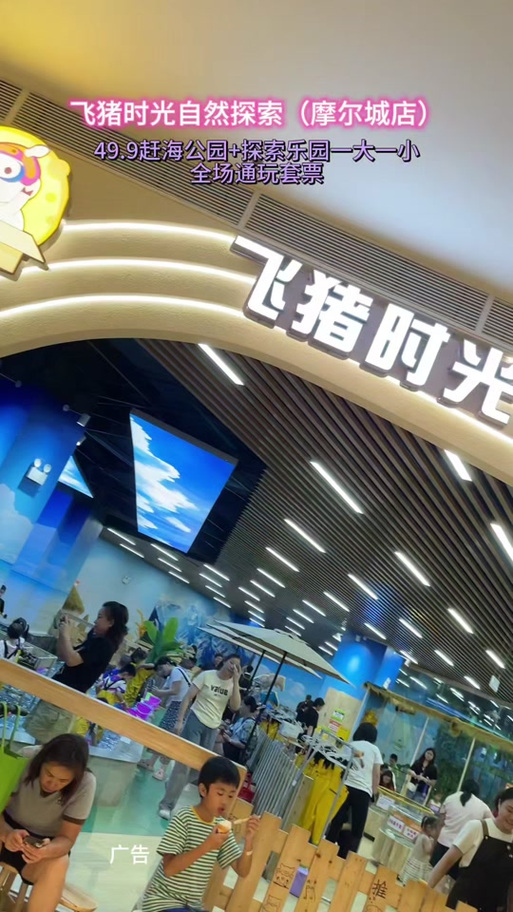 飞猪历史版本游戏截图