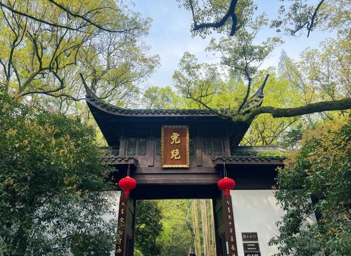 巧虎跑酷小游戏图标
