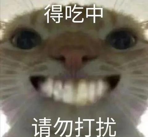 文字表情符号图标