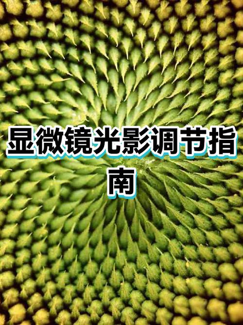 为什么屏幕的亮度忽明忽暗