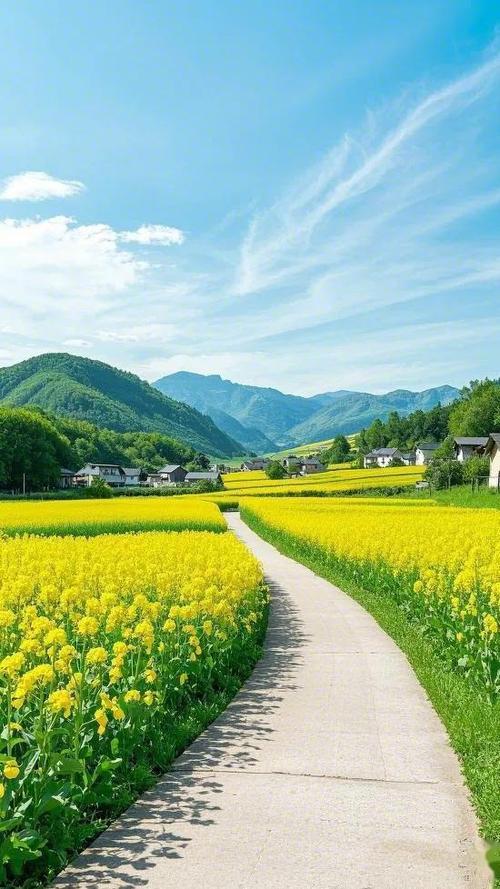 乡村田园风景视频