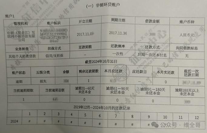 闪电借款上征信吗截图