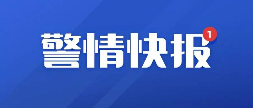 警察出警图截图