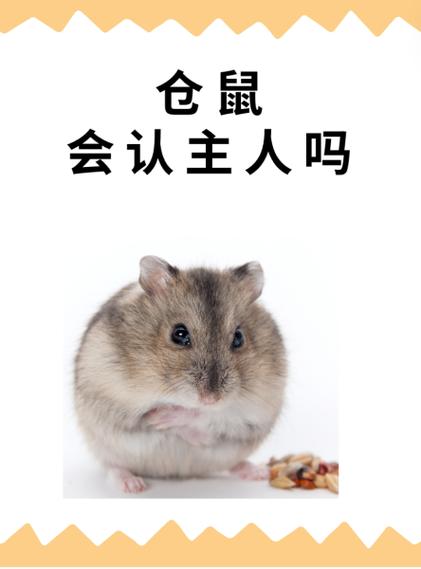 仓鼠可以一个星期不管吗图标