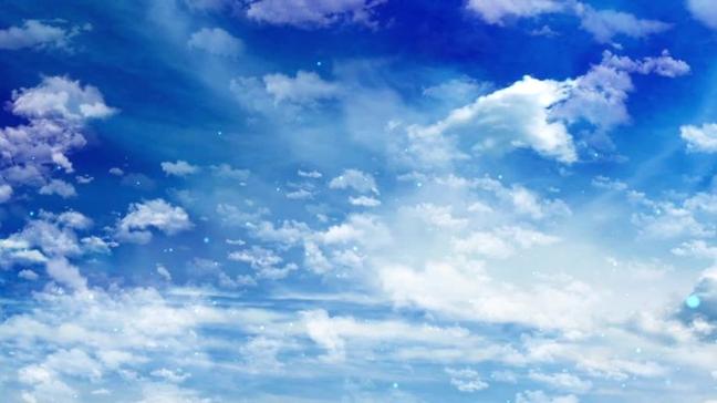天空视频免费观看电视剧截图