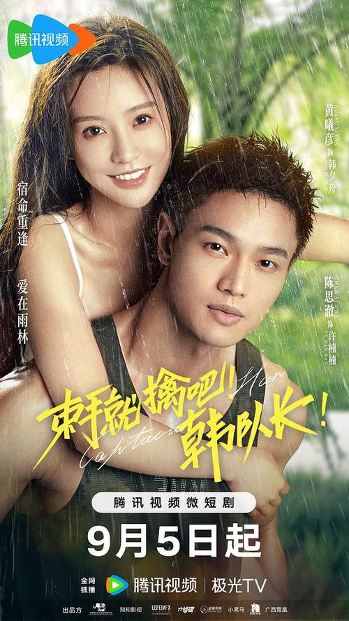 免费观看国语高清电视剧