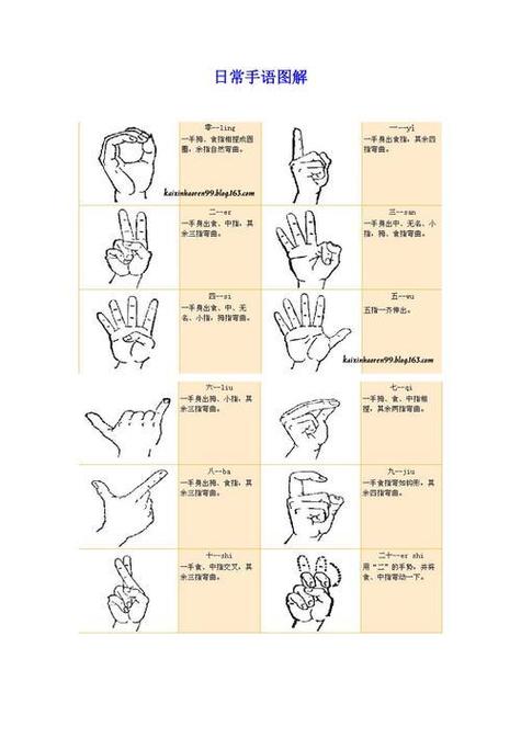 手语在线翻译图标