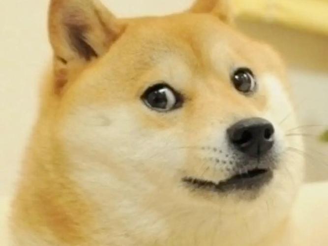 表情包狗头表情包含义