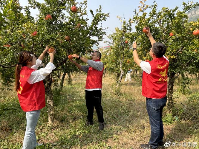 百果园电话95080人工服务怎么打截图